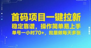 首码项目一键拉新，稳定靠谱，操作简单易上手，单号一小时70+，批量做每天多张【揭秘】 - 网赚资源网-网赚资源网