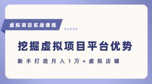 抓住虚拟项目各平台优势,新手轻松月入1W+(给出具体建议) - 网赚资源网-网赚资源网
