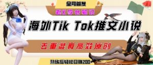 海外tiktok小说推文暴力项目，高停留率，高转化率，上手后一天搞顿饭钱不是问题 - 网赚资源网-网赚资源网