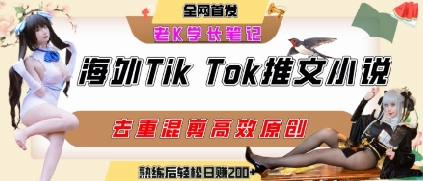 海外tiktok小说推文暴力项目，高停留率，高转化率，上手后一天搞顿饭钱不是问题-网赚资源网
