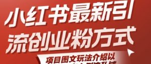 小红书最新引流创业粉方式，项目图文玩法介绍以及如何安全倒流私域 - 网赚资源网-网赚资源网