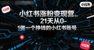 小红书涨粉变现营,21天从0-1做一个挣钱的小红书账号 - 网赚资源网-网赚资源网