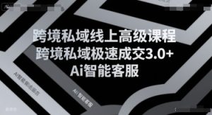 跨境私域线上高级课程，跨境私域极速成交3.0+Ai智能客服-网赚资源网
