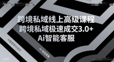 跨境私域线上高级课程，跨境私域极速成交3.0+Ai智能客服-网赚资源网