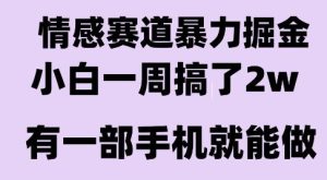 情感暴力掘金项目,新人操作一周挣了2W,长期稳定小白可做【揭秘】 - 网赚资源网-网赚资源网