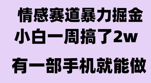 情感暴力掘金项目，新人操作一周挣了2W，长期稳定小白可做【揭秘】-网赚资源网