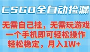 CSGO自动捡漏项目,最新独家玩法,一个手机可操作,新手小白轻松月入1W+,操作简单易上手【揭秘】-网赚资源网