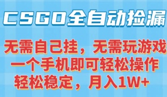 CSGO自动捡漏项目，最新独家玩法，一个手机可操作，新手小白轻松月入1W+，操作简单易上手【揭秘】-网赚资源网