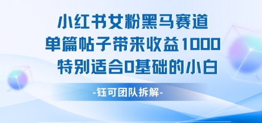 小红书女粉黑马赛道单篇帖子带来收益1k+，特别适合0基础的小白-网赚资源网