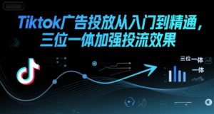 Tiktok广告投放从入门到精通,三位一体加强投流效果 - 网赚资源网-网赚资源网