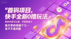 首码项目,快手全新0撸玩法,有快手就可以做,可矩阵放大,每天零碎时间搞个几张不是问题【揭秘】-网赚资源网