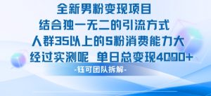 全新男粉变现项目引流人群35以上的男粉消费能力大 经过实测单日变现1k+-网赚资源网