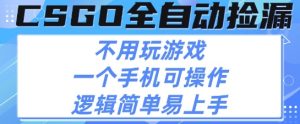 CSGO自动捡漏项目,最新独家玩法,不用挂G不用玩游戏,一个手机即可操作,新手小白轻松月入1W+【揭秘】-网赚资源网