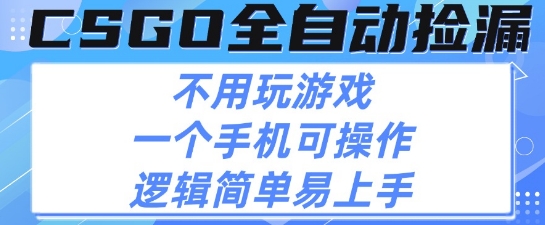CSGO自动捡漏项目，最新独家玩法，不用挂G不用玩游戏，一个手机即可操作，新手小白轻松月入1W+【揭秘】-网赚资源网
