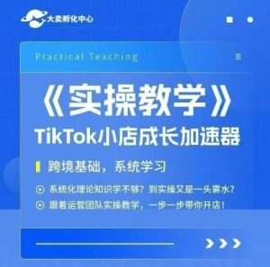 大卖家孵化中心TikTok实操课，TikTok小店成长加速器，跨境基础系统学习，一步一步带你开店 - 网赚资源网-网赚资源网