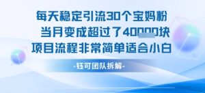 每天稳定引流30个人 当月变成超过了4个W项目流程非常简单适合小白-网赚资源网