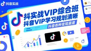 抖音实战VIP综合班，抖音VIP学习规划请晰抖音各种变现渠道-网赚资源网