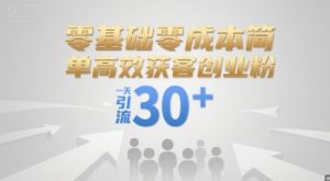 零基础零成本简单高效获客创业粉，一天引流30+ - 网赚资源网-网赚资源网