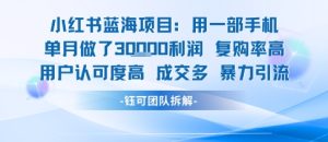 小红书蓝海项目,一部手机单月做了3W利润,小白也能月入过1W用户认可度高成交多-网赚资源网