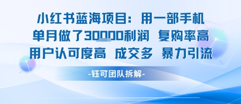 小红书蓝海项目，一部手机单月做了3W利润，小白也能月入过1W用户认可度高成交多-网赚资源网