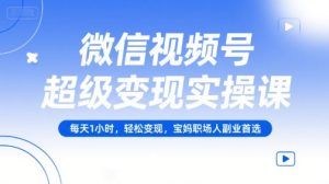微信视频号超级变现实操课，每天1小时，轻松变现，宝妈职场人副业首选 - 网赚资源网-网赚资源网