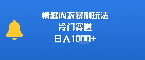 情趣内衣暴利玩法，冷门赛道，日入1k+-网赚资源网