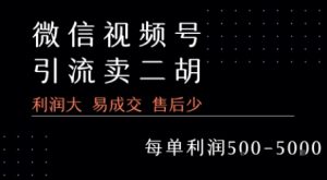 视频号卖二胡教程，利润大 易成交 售后少，一单利润5张+-网赚资源网