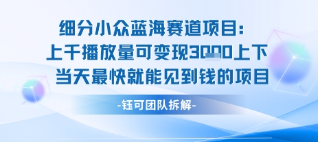 小众蓝海赛道项目：当天变现1k+适合新手操作 +适合长期玩-网赚资源网