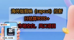 海外版剪映(capcut)拉新,日结算1k+,市场空白,风口项目-网赚资源网