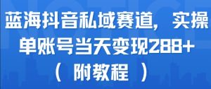 蓝海抖音私域赛道，实操单账号当天变现288+(附教程)-网赚资源网