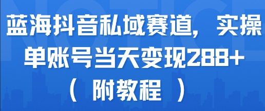 蓝海抖音私域赛道，实操单账号当天变现288+(附教程)-网赚资源网