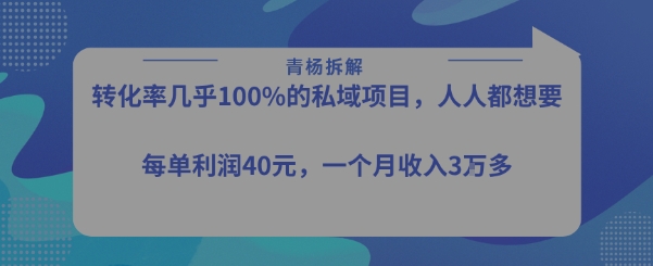 转化率最高的私域项目，每单利润40-50米，月入过1w-网赚资源网