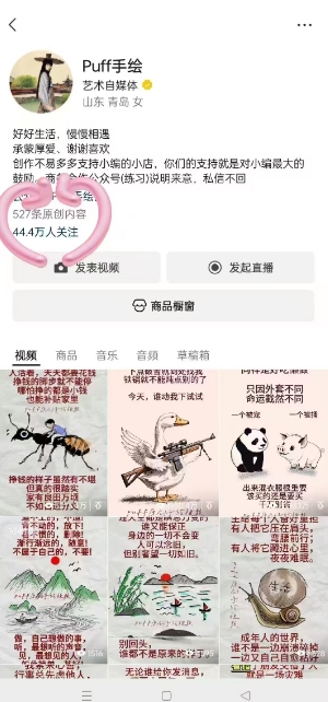 Puff手绘视频号分成项目，三天过分成计划，简单易上手，适合新手-网赚资源网