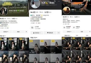 抖音图文文案赛道新玩法,快速养号起号,广告收益分成+橱窗带货+教学收徒等-网赚资源网