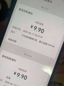 二次元男粉快速变现项目,私域卖虚拟产品,百分利润-网赚资源网