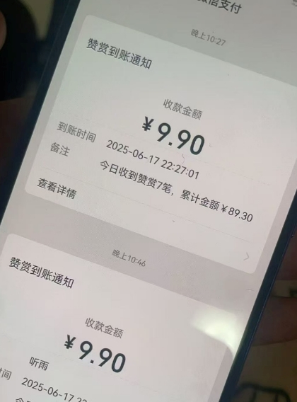 二次元男粉快速变现项目，私域卖虚拟产品，百分利润-网赚资源网