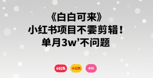 小白可来 小红书项目不需要剪辑 单月3w不是问题-网赚资源网