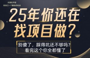 25年,你还在疯狂的找项目吗?别傻了,看完这个你都懂了【揭秘】-网赚资源网