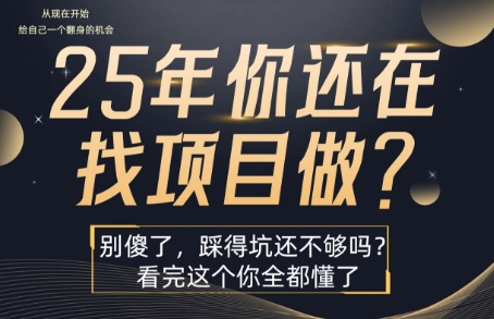 25年，你还在疯狂的找项目吗？别傻了，看完这个你都懂了【揭秘】-网赚资源网