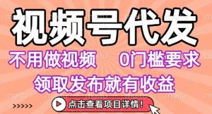 视频号代发,不用剪辑不用做视频,0门槛要求,领取发布就有收益,任务没有无上限,小白轻松上手【揭秘】-网赚资源网