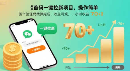 首码一键拉新项目，操作简单，接个验证码就算完成，收益可观， 一小时收益70+【揭秘】-网赚资源网