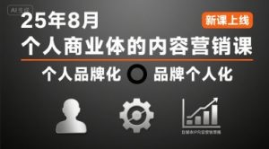 个人商业体的内容营销课25年8月，个人品牌化，品牌个人化，自媒体ip内容营销策略-网赚资源网