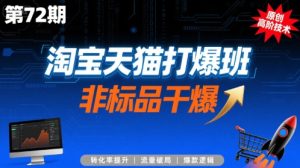 淘宝天猫打爆班原创高阶技术第72期,非标品干爆-网赚资源网