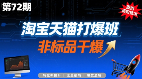 淘宝天猫打爆班原创高阶技术第72期，非标品干爆-网赚资源网