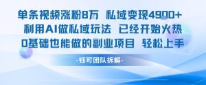 单条视频私域变现4.9k+利用AI做私域玩法 已经开始火热0基础也能做的副业项目轻松上手-网赚资源网