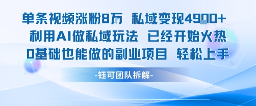 单条视频私域变现4.9k+利用AI做私域玩法 已经开始火热0基础也能做的副业项目轻松上手-网赚资源网