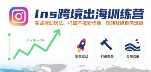 Ins跨境出海训练营，实战驱动玩法，打破不涨粉怪象，玩转社媒自然流量-网赚资源网
