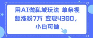 用AI做私域玩法,单条视频涨粉7W变现4.3k,小白可做-网赚资源网