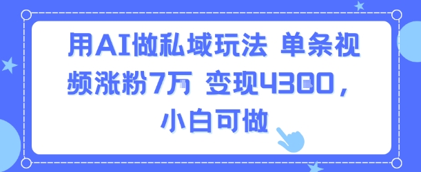 用AI做私域玩法，单条视频涨粉7W变现4.3k，小白可做-网赚资源网
