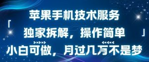 苹果手机技术服务,独家拆解,操作简单,小白可做,月过1W不是梦-网赚资源网
